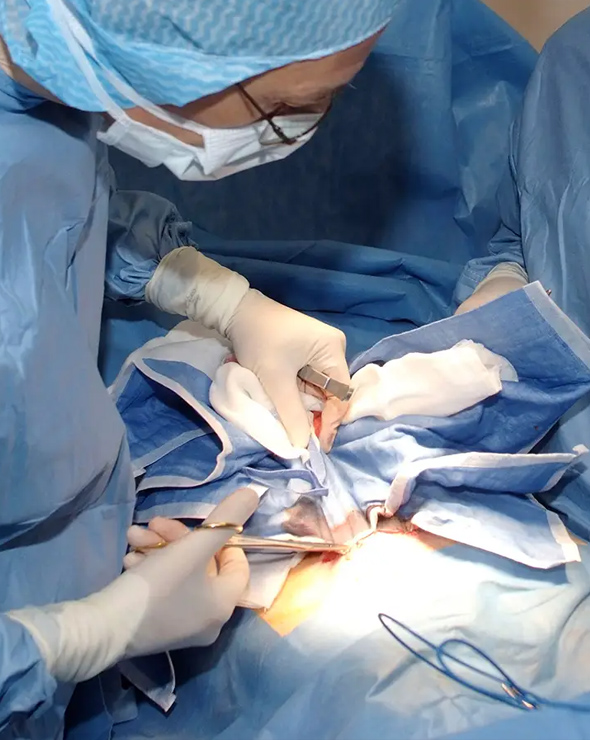 Bahasa Surgical Instruments